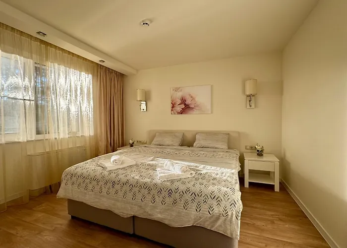 Apartment Alex Borovets