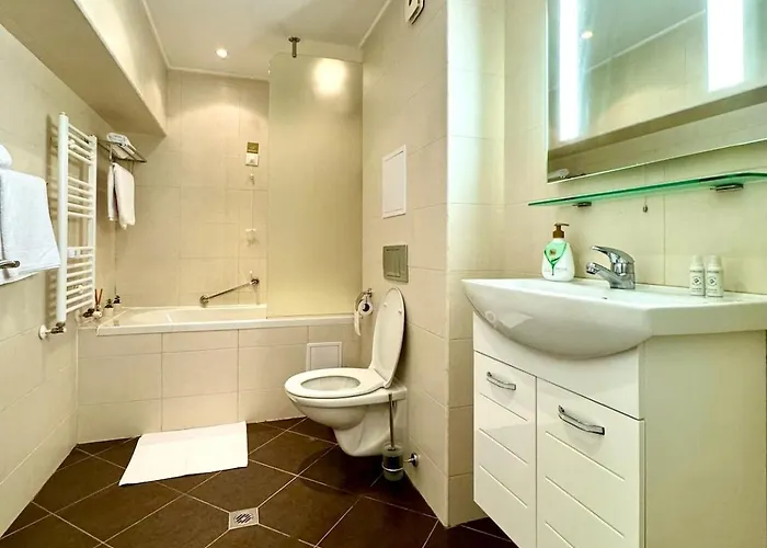 Apartment Alex Borovets